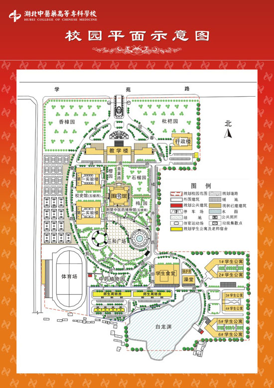 点击可放大